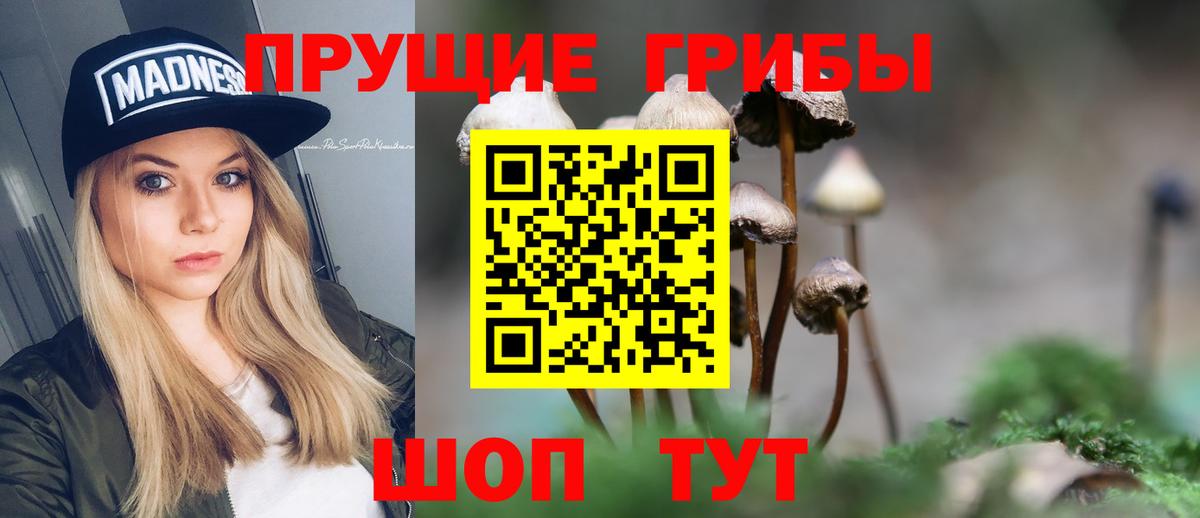 Туапсе  Псилоцибиновые грибы GOLDEN TEACHER  купить  цена  Вход с VPN 